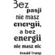 Bez pasji nie masz energii, a bez energii nie masz nic. Donald Trump