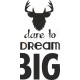 Dare to dream big