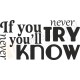 If you never try you'll never know