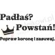 Padłaś? Powstań! Popraw koronę i zasuwaj.