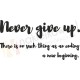 Never give up. There is no such thing as an ending a new beginning.