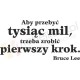 Aby przebyć tysiąc mil, trzeba zrobić pierwszy krok. Bruce Lee